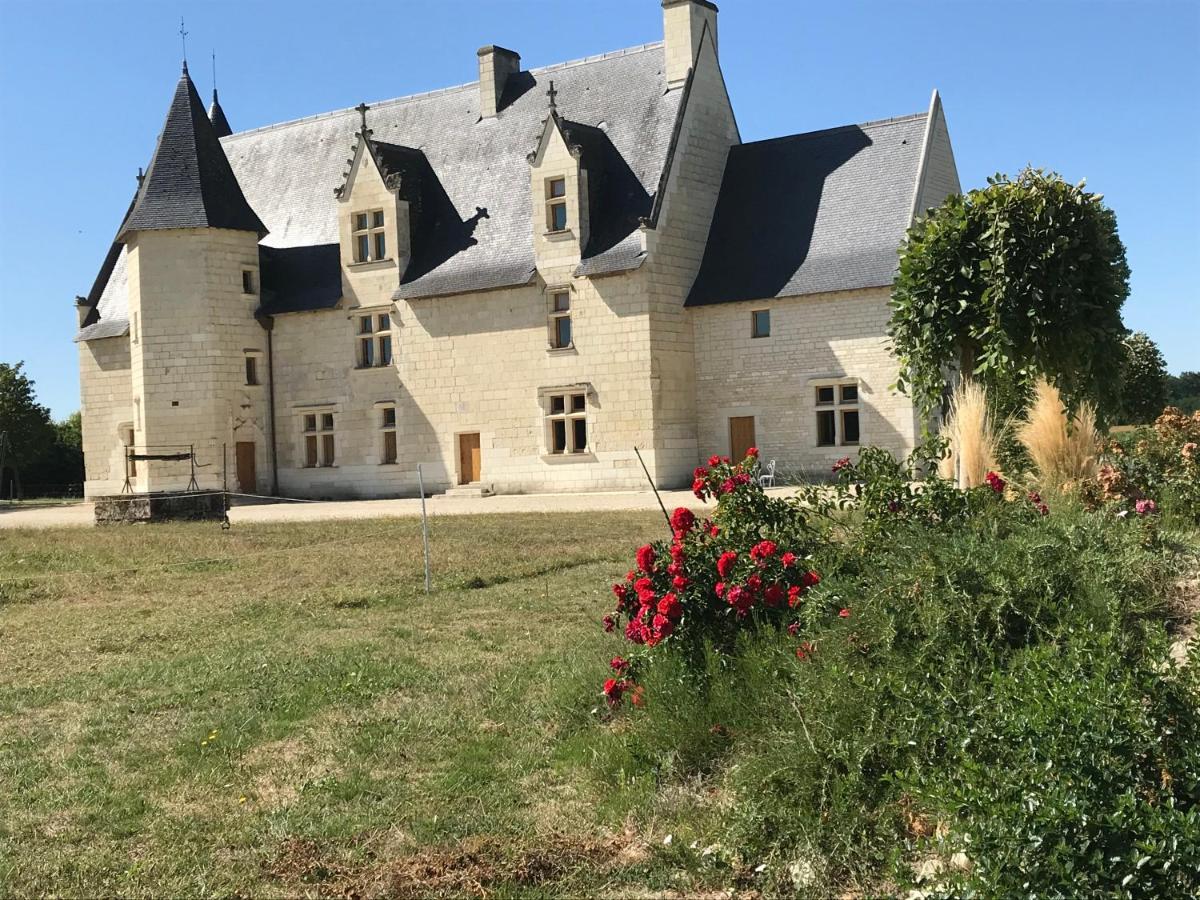 Manoir De Chandoiseau Les-Trois-Moutiers 외부 사진