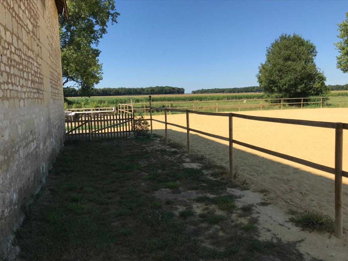 Manoir De Chandoiseau Les-Trois-Moutiers 외부 사진