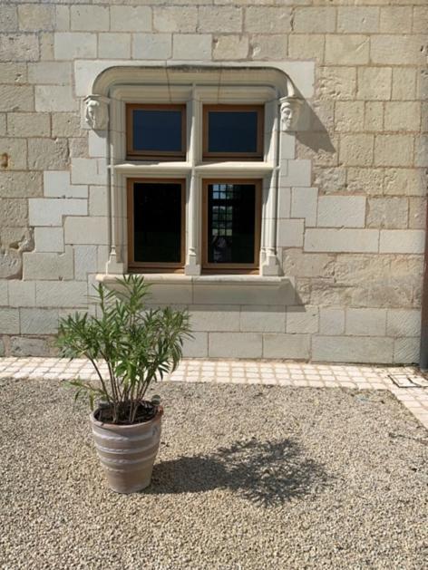 Manoir De Chandoiseau Les-Trois-Moutiers 외부 사진